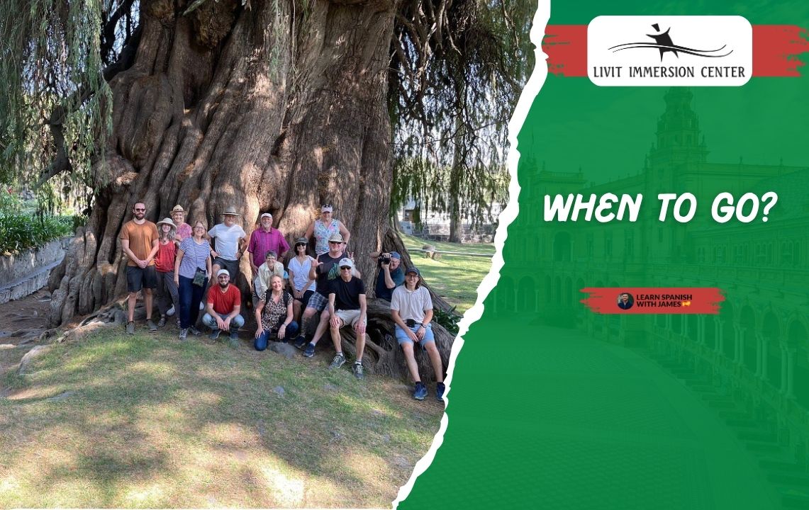 Livit Spanish Puebla Mexico