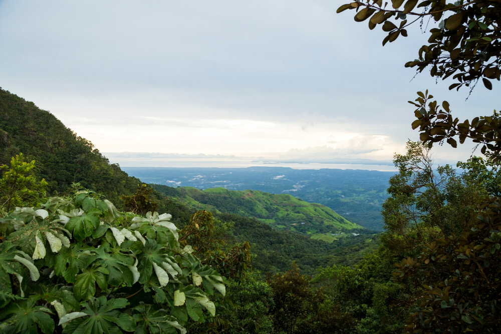 Monteverde spanish school