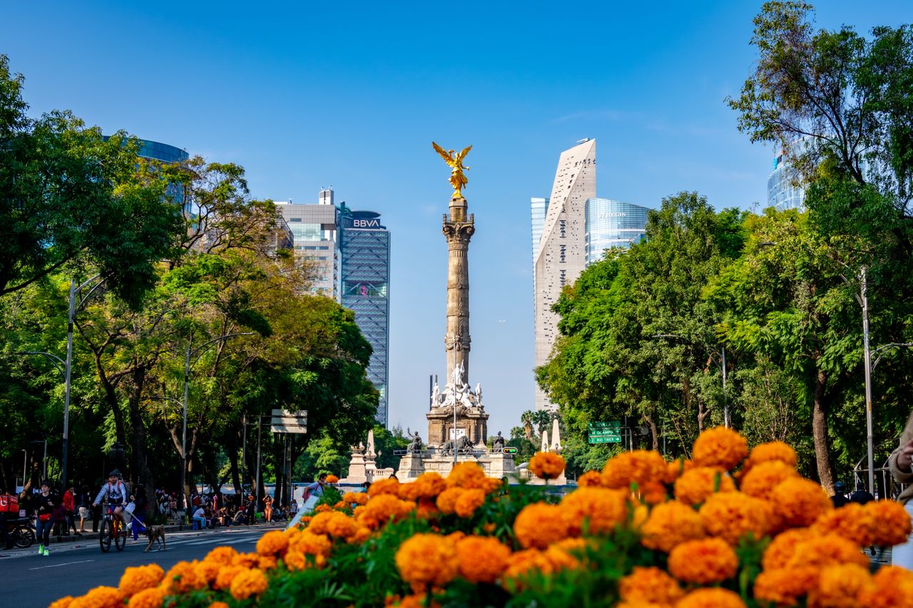 spanish schools in mexico
