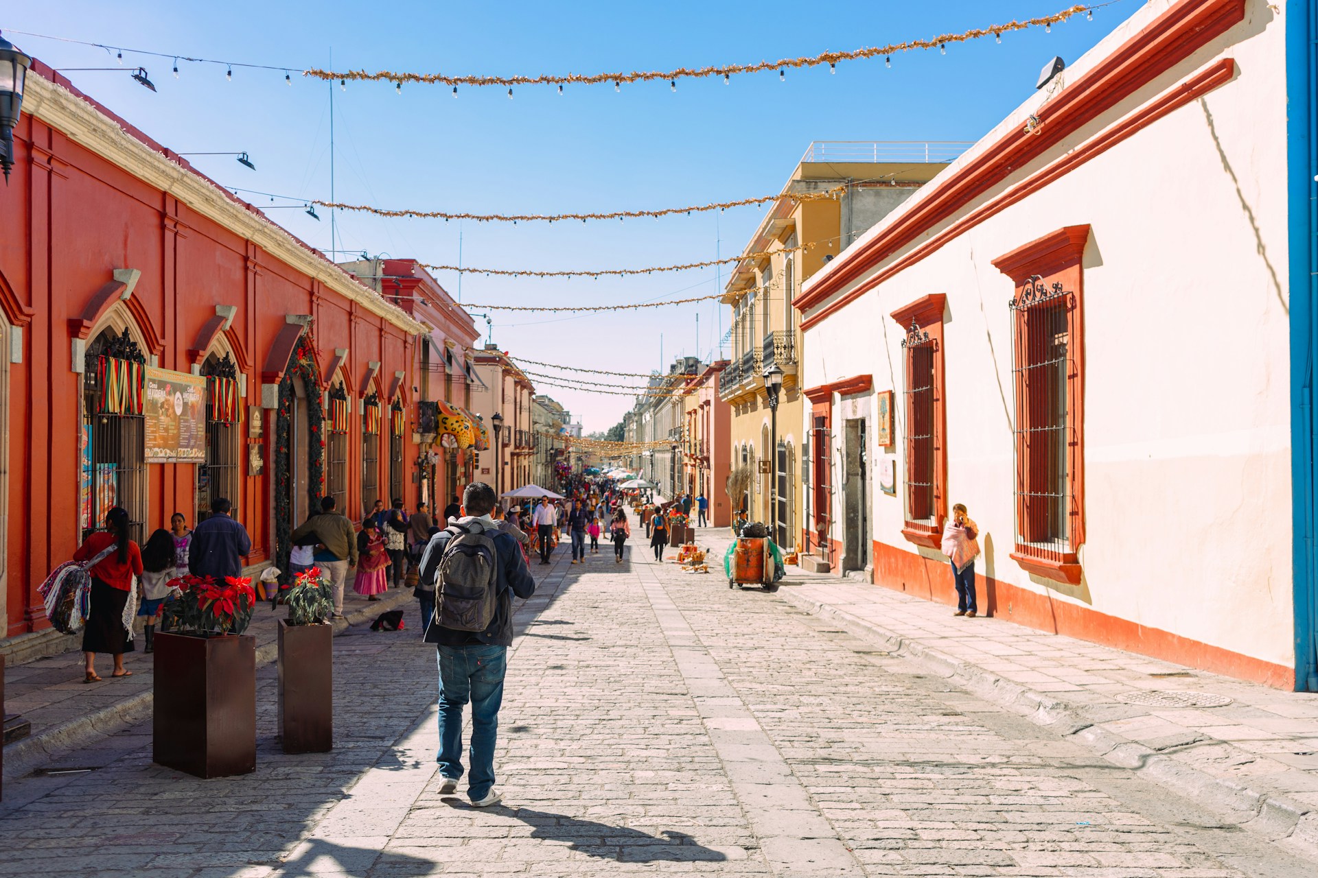 spanish schools Oaxaca